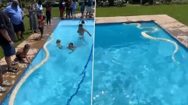 स्विमिंग पूल में तैरते समय बच्चों के सामने आ गया विशालकाय अजगर, फिर जो हुआ... Viral Video देख सन्न रह जाएंगे आप