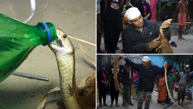 Viral Video: मछली पकड़ने वाले जाल में फंसा किंग कोबरा, रेस्क्यू किए जाने के बाद बोतल से पिलाया गया पानी