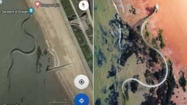 Snake Skeleton: गूगल मैप पर मिले दुनिया के सबसे बड़े सांप के कंकाल से मचा हड़कंप, देखें वायरल वीडियो