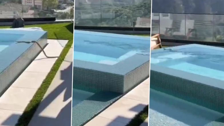 जब तेज रफ्तार से स्विमिंग पूल में तैरने लगा खतरनाक सांप, Viral Video देखकर उड़ जाएंगे आपके होश