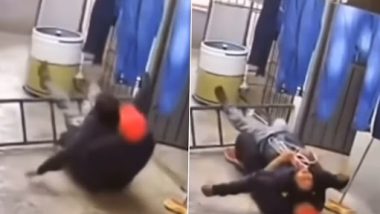 Viral Video: सीढ़ी से फिसलकर गिरने वाला था सहकर्मी, शख्स ने ऐसे बचाई जान, देखें वीडियो