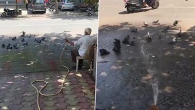 Viral Video: आदमी ने कबूतरों के झुंड पर बरसाया पानी, दिल पिघला देने वाला वीडियो वायरल