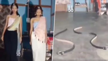 Funny Video: बीन की धुन बजने के बाद दो लड़कियों ने लिया नागिन का रूप, देखें फनी वीडियो