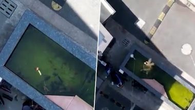 Viral Video: शंघाई में लॉकडाउन के बीच भूख से मर रहे लोग ड्रोन का इस्तेमाल कर मछली पकड़ रहे हैं, देखें वीडियो