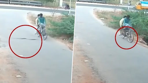 Snake Wrapped in a Moving Bicycle: चलती साइकिल से अचानक लिपट गया सांप, भयावह मंजर हुआ वायरल
