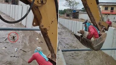 Viral Video: नहर में बहते हुए डॉग को बचाव कर्मियों ने Excavator की मदद से ऐसे बचाया, देखें वीडियो