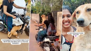 Viral Video: इस अडॉरबल स्ट्रीट डॉग को बाइक की सवारी करना है पसंद, देखें मनमोहक वीडियो