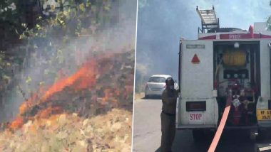 Forest Fire: शिमला के तारादेवी के जंगल में फैली आग, दमकल विभाग आग पर काबू पाने में जुटा
