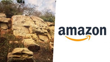 Amazon पर 4000 रुपये में बेच रहे थे गोवर्धन पर्वत की गिरिराज शिला, यूपी के दो व्यापारियों पर केस हुआ दर्ज