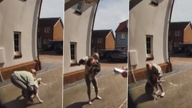 खिड़की से छलांग लगाने के बाद भी बाल-बाल बचा डॉग, महिला ने गिरने से ऐसे बचाया (Watch Viral Video)