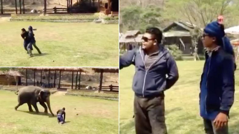 केयरटेकर पर शख्स ने किया हमला तो उसे बचाने के लिए दौड़ा चला आया हाथी, Viral Video देख बन जाएगा दिन