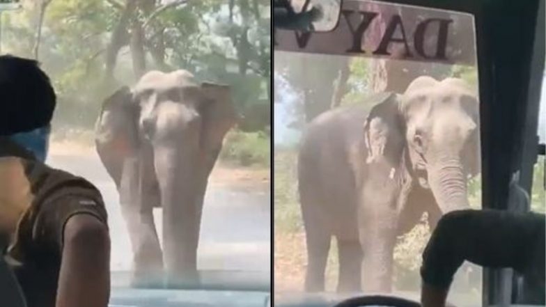 जिम कॉर्बेट में गुस्साए हाथी ने टूरिस्ट वाहन पर किया हमला, डर के मारे पर्यटकों का हुआ ऐसा हाल (Watch Viral Video)