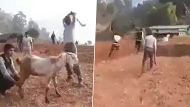 OMG! धारदार हथियार से गर्दन पर वार करने के बावजूद बकरे की बाल-बाल बची जान, Viral Video में देखें कैसे दिया मौत को चकमा