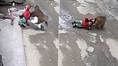 Monkey Attacks on Girl: सड़क पर खेल रही बच्ची पर बंदर ने किया हमला, फिर जो हुआ... देखें वायरल वीडियो