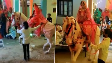 Dulhan Viral Video: दूल्हे की जगह सज-संवरकर घोड़ी पर सवार हुई दुल्हन, मजेदार वीडियो हुआ वायरल