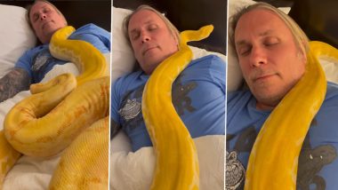 Snake Viral Video: आराम से बेड पर सो रहा था शख्स, तभी वहां पहुंच गया पीले रंग का विशालकाय सांप और फिर...