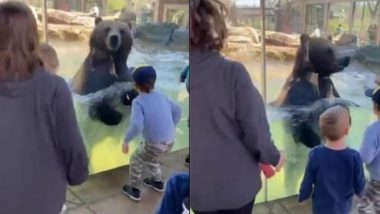 Viral Video: बच्चों के साथ मस्ती में झूमता नजर आया भालू, वायरल वीडियो देख बन जाएगा आपका दिन