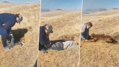 बछड़े के लिए मसीहा बना शख्स, दोस्त की मदद से गड्ढे में फंसे गाय के बच्चे की ऐसे बचाई जान (Watch Viral Video)
