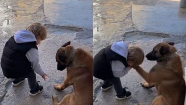 Viral Video: कुत्ते के पैर चूमता नजर आया छोटा बच्चा, उसकी क्यूटनेस ने जीत लिया लोगों का दिल