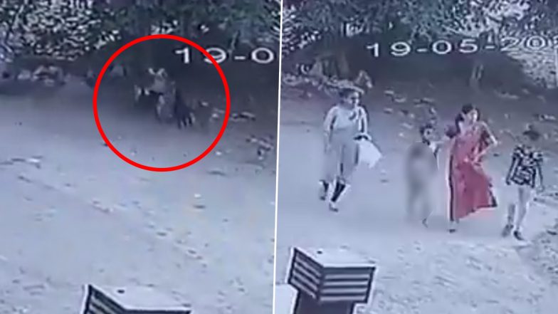Viral Video: आवारा कुत्तों के एक समूह ने किया बच्चे पर अटैक, घटना का हैरान करने वाला वीडियो वायरल