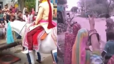 बारात निकलते समय किसी ने कर दी घोड़ी को छेड़ने की गलती, फिर दूल्हे के साथ जो हुआ... Viral Video देख नहीं रुकेगी आपकी हंसी