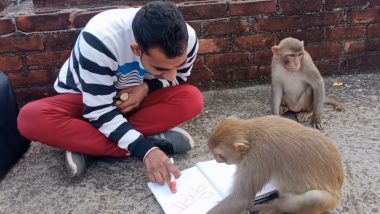 Viral Video: क्या आपने कभी बंदरों को पढ़ाई करते देखा है? इस वायरल वीडियो को देखकर दंग रह जाएंगे आप