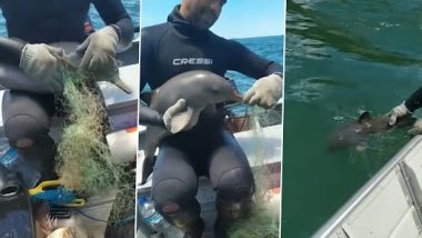 Viral Video: जाल में फंसी बेबी डॉल्फ़िन की शख्स ने की मदद, नेट से निकालने के बाद छोड़ा समुद्र में