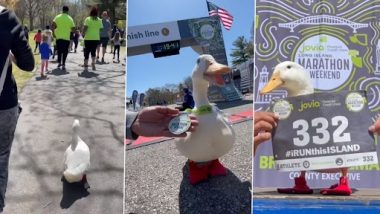 Duck Runs a Marathon: डक ने न्यूयॉर्क मैराथन में लिया भाग, देखें क्यूट बत्तख की दौड़