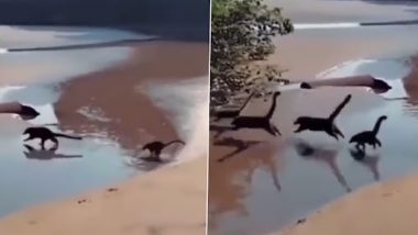 Dinosaurs Running On Beach? बीच पर दौड़ते दिखे बेबी डायनासौर, वीडियो देख नेटिज़न्स हैरान
