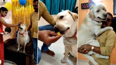 Cute Dog's Birthday Celebration: देसी अंदाज में तिलक और आरती कर मनाया गया क्यूट डॉग का बर्थडे, देखें वीडियो