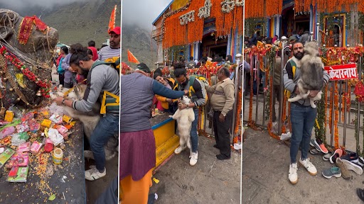 Viral Video: अपने पालतू कुत्ते को केदारनाथ ले गया शख्स, मंदिर में डॉग का मत्था टेका और तिलक लगाया, FIR दर्ज