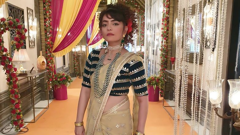 'तारक मेहता का उल्टा चश्मा' पर राखी विजन नई 'दयाबेन'