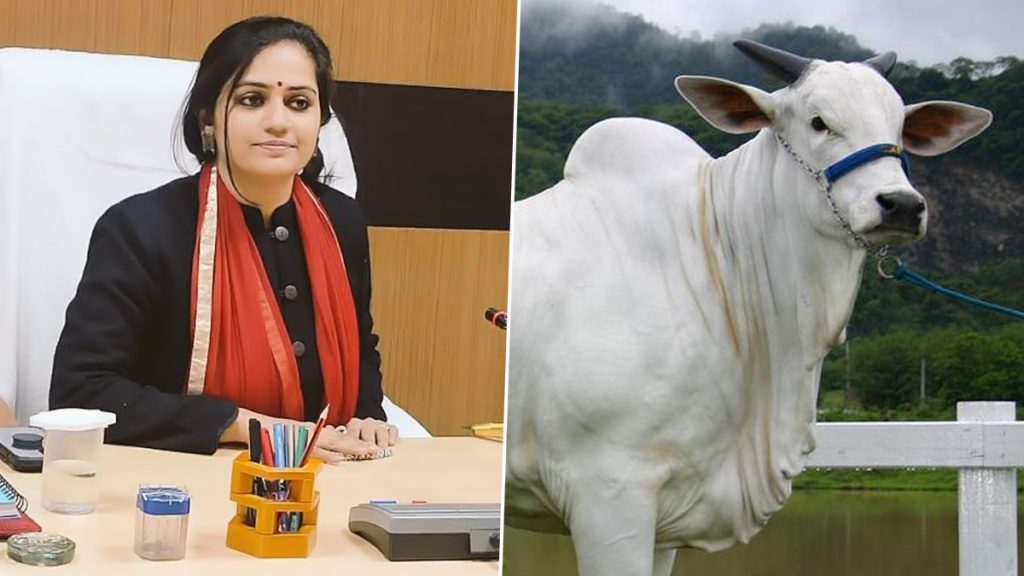 फतेहपुर की DM अपूर्वा दुबे  की अजीब फरमान, घर की गाय बीमार होने पर देखरेख के लिए लगाई 7 डॉक्टरों की टीम