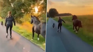 स्केटिंग करते हुए महिला ने लगाई कुत्ते और घोड़े के साथ रेस, Viral Video में देखे कौन निकला सबसे आगे?