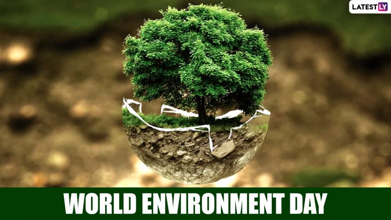 World Environment Day 2022: आइये विश्व पर्यावरण दिवस पर संकल्प लें! इस धरा को बचाने का!