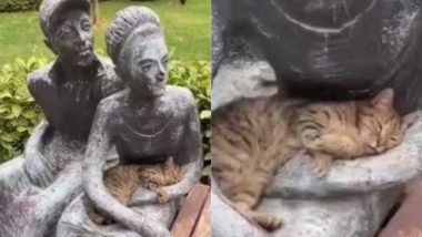 स्टैच्यू की गोद में आराम से लेट गई बिल्ली, इंसान समझकर जताने लगी प्यार, Viral Video जीत लेगा दिल