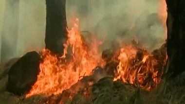 ठाणे में बंगले में आग लगने से महिला की मौत, चार अन्य झुलसे