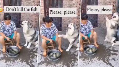 कुत्ते ने मालकिन को मछलियों को मारने से रोका, बगावत करके इस तरह से बचाई उनकी जान (Watch Viral Video)
