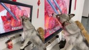 अपनी पसंद का खाना देख कुत्ते का मन ललचाया, टेलीविजन स्क्रीन को ही लगा चाटने (Watch Viral Video)