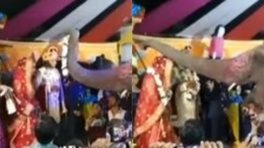 Dulha-Dulhan Viral Video: जयमाला समारोह में दूल्हा-दुल्हन के साथ गजराज ने किया कुछ ऐसा, वायरल वीडियो ने जीता सबका दिल