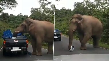 Viral Video: गाड़ी को रोक कर हाथी ने लूटा खाने का सामान, रंगदारी वसूलते गजराज का वीडियो हुआ वायरल