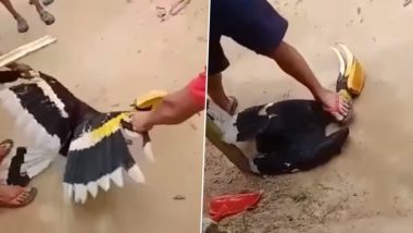 Shocking! नागालैंड में दुर्लभ पक्षी हॉर्नबिल की बेरहमी से हत्या करने का वीडियो हुआ वायरल, मामले में तीन लोग गिरफ्तार