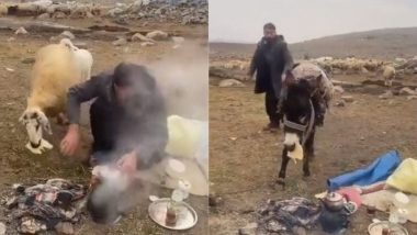 चरवाहे को उसके पालतू जानवरों ने किया परेशान, रोटी लेकर भागी भेड़ तो बचे हुए खाने को खा गया गधा (Watch Viral Video)