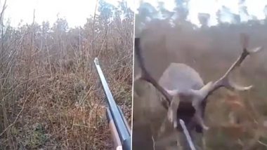 Viral Video: गुस्से में हिरण ने शिकारी पर बेरहमी से किया हमला, शख्स की आंख से बहने लगी खून की नदिया