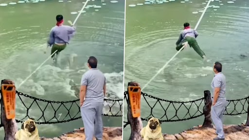 Scary Video: आंख पर पट्टी बांधकर मगरमच्छ के बीच स्टंट करते हुए शख्स का डरावना क्लिप वायरल, देखें वीडियो