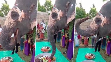 Viral Video: तमिलनाडु मंदिर ने मनाया हाथी का जन्मदिन, आनंद महिंद्रा ने शेयर किया वीडियो