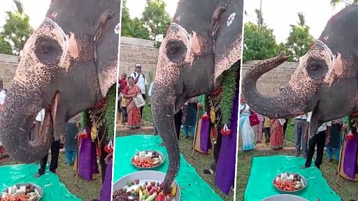 तमिलनाडु मंदिर ने मनाया हाथी का जन्मदिन, आनंद महिंद्रा ने शेयर किया वीडियो