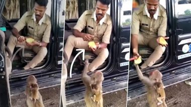 Viral Video: यूपी पुलिस कांस्टेबल का बंदर को प्यार से आम खिलाते हुए क्लिप वायरल, नेटिज़न्स ने कहा असली हीरो
