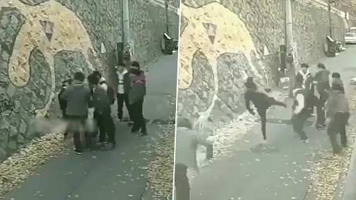 परेशान करने वाले 6 लोगों को लड़की ने अकेले सिखाया सबक, लड़ने का वीडियो वायरल