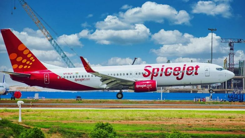 Flight Bird Hitting: विमानों को पक्षियों की टक्कर से बचाने की कवायद, DGCA ने जारी की गाइडलाइंस